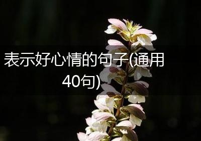 表示好心情的句子(通用40句)