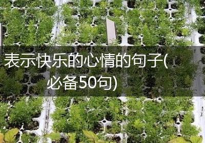 表示快乐的心情的句子(必备50句)