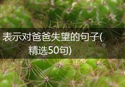 表示对爸爸失望的句子(精选50句)