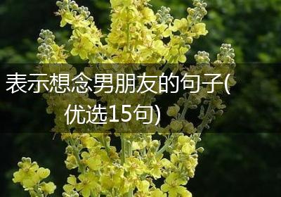 表示想念男朋友的句子(优选15句)