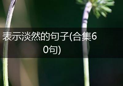 表示淡然的句子(合集60句)