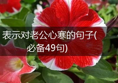表示对老公心寒的句子(必备49句)