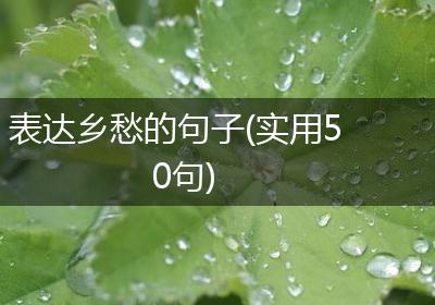 表达乡愁的句子(实用50句)