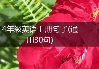 4年级英语上册句子(通用30句)