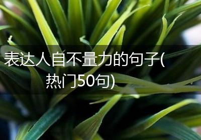 表达人自不量力的句子(热门50句)
