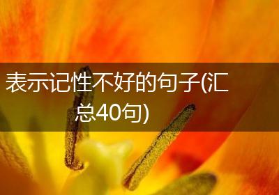 表示记性不好的句子(汇总40句)