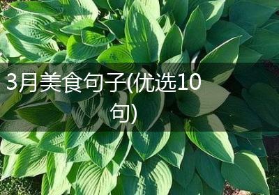 3月美食句子(优选10句)