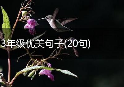 3年级优美句子(20句)