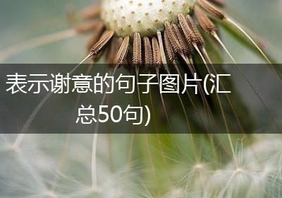 表示谢意的句子图片(汇总50句)
