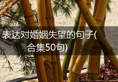 表达对婚姻失望的句子(合集50句)