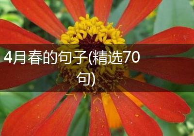 4月春的句子(精选70句)
