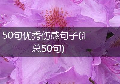 50句优秀伤感句子(汇总50句)