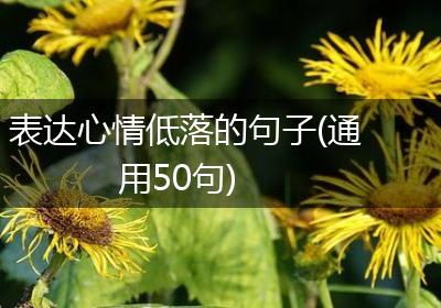 表达心情低落的句子(通用50句)