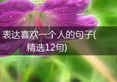 表达喜欢一个人的句子(精选12句)
