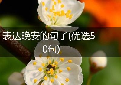 表达晚安的句子(优选50句)