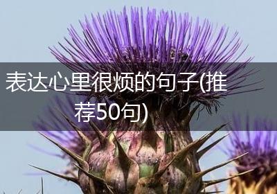 表达心里很烦的句子(推荐50句)