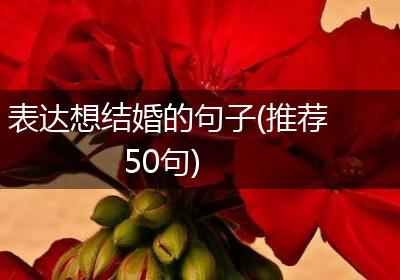 表达想结婚的句子(推荐50句)