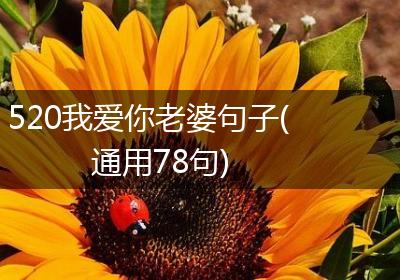 520我爱你老婆句子(通用78句)
