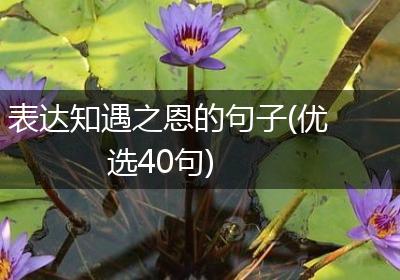 表达知遇之恩的句子(优选40句)