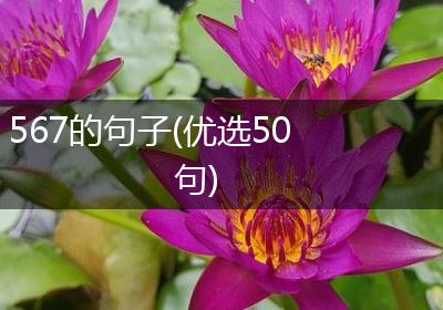 567的句子(优选50句)
