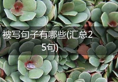 被写句子有哪些(汇总25句)