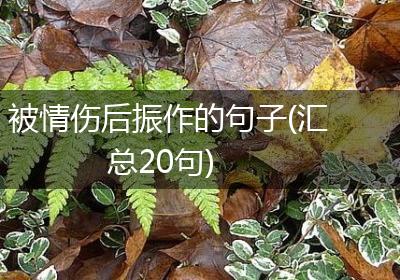 被情伤后振作的句子(汇总20句)