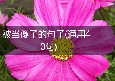 被当傻子的句子(通用40句)