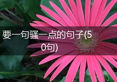 要一句骚一点的句子(50句)