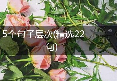 5个句子层次(精选22句)
