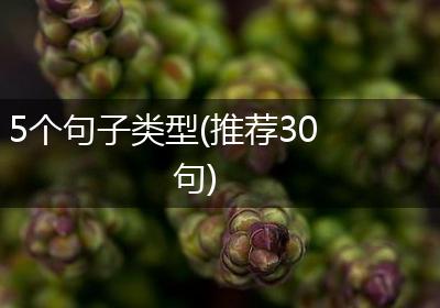 5个句子类型(推荐30句)
