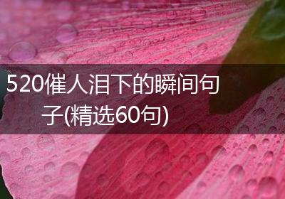 520催人泪下的瞬间句子(精选60句)