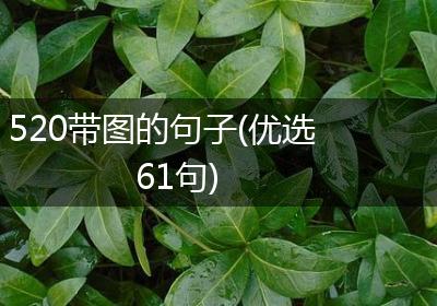 520带图的句子(优选61句)
