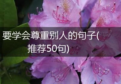 要学会尊重别人的句子(推荐50句)