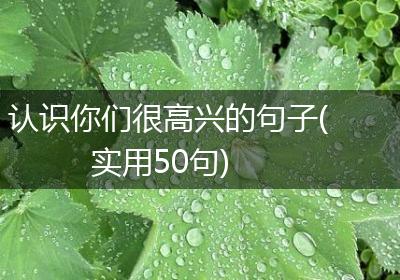 认识你们很高兴的句子(实用50句)
