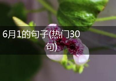 6月1的句子(热门30句)
