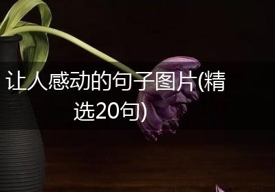 让人感动的句子图片(精选20句)