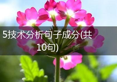 5技术分析句子成分(共10句)