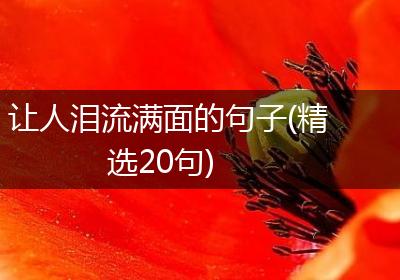 让人泪流满面的句子(精选20句)