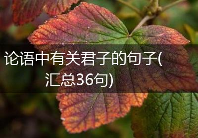 论语中有关君子的句子(汇总36句)