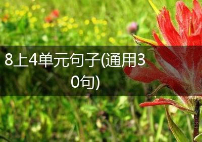 8上4单元句子(通用30句)