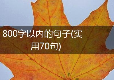 800字以内的句子(实用70句)