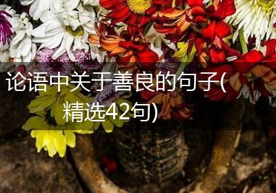论语中关于善良的句子(精选42句)