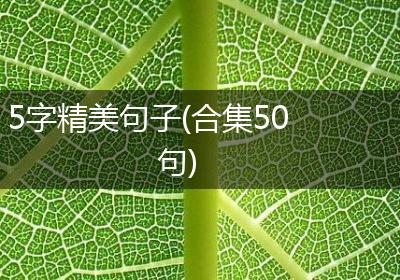 5字精美句子(合集50句)
