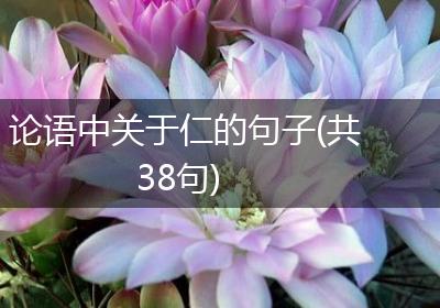 论语中关于仁的句子(共38句)
