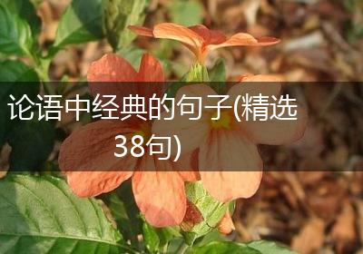论语中经典的句子(精选38句)