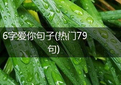 6字爱你句子(热门79句)