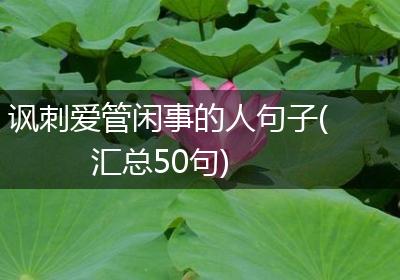 讽刺爱管闲事的人句子(汇总50句)