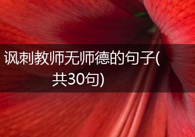讽刺教师无师德的句子(共30句)