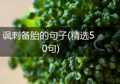 讽刺备胎的句子(精选50句)