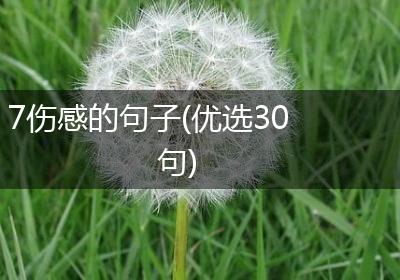 7伤感的句子(优选30句)